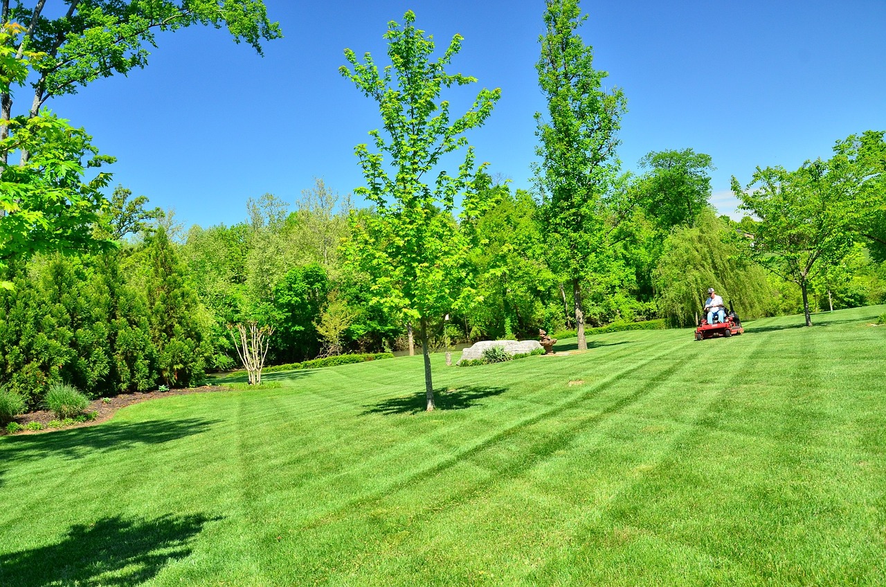 lawn care, lawn maintenance, lawn services-643558.jpg